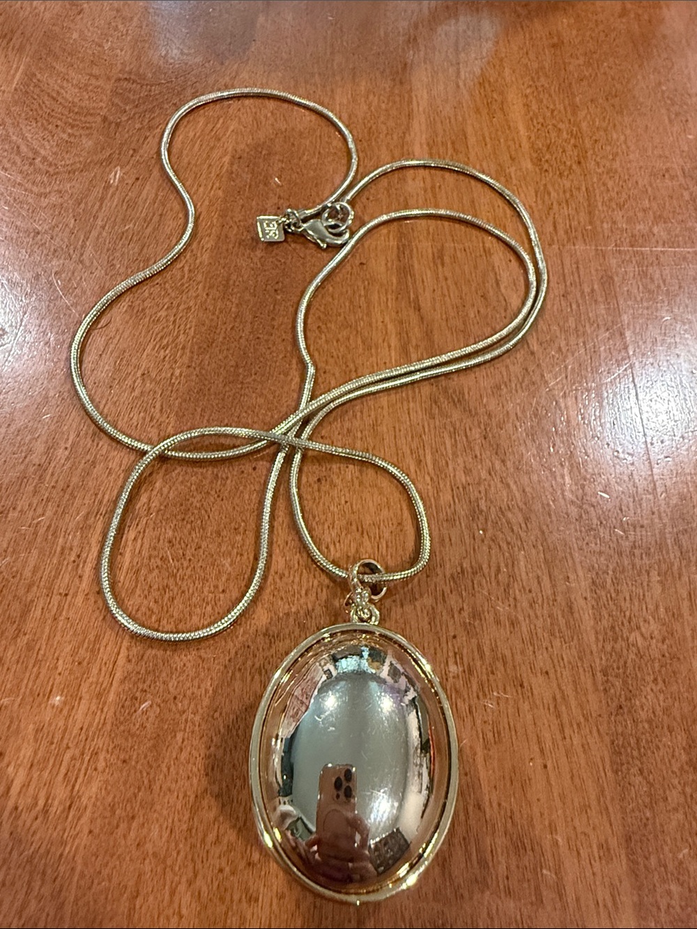 “BR” Banana Republic Gold-Tone Oval Pendant Long Necklace